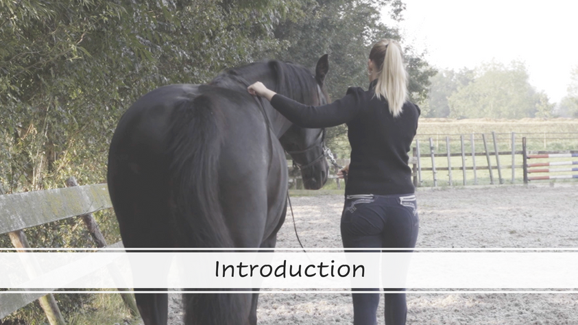 # Introduction
